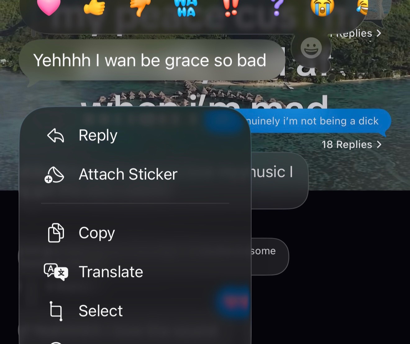 @gracieboo