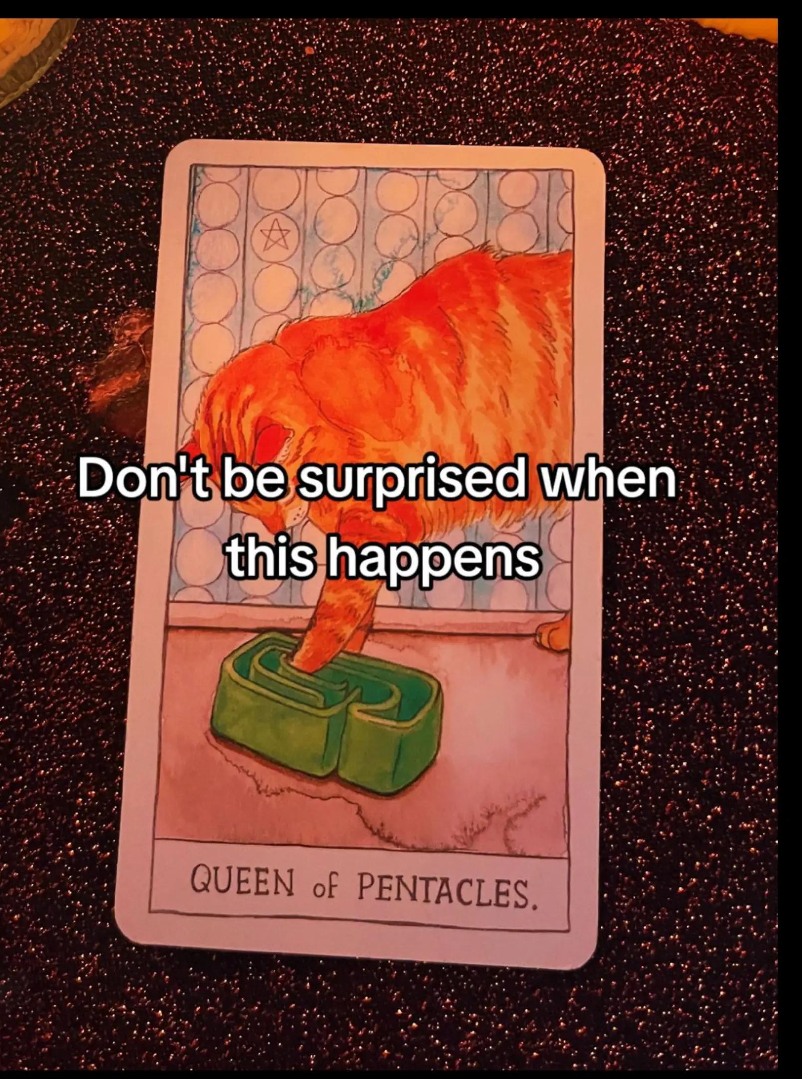 @ROSA🔮