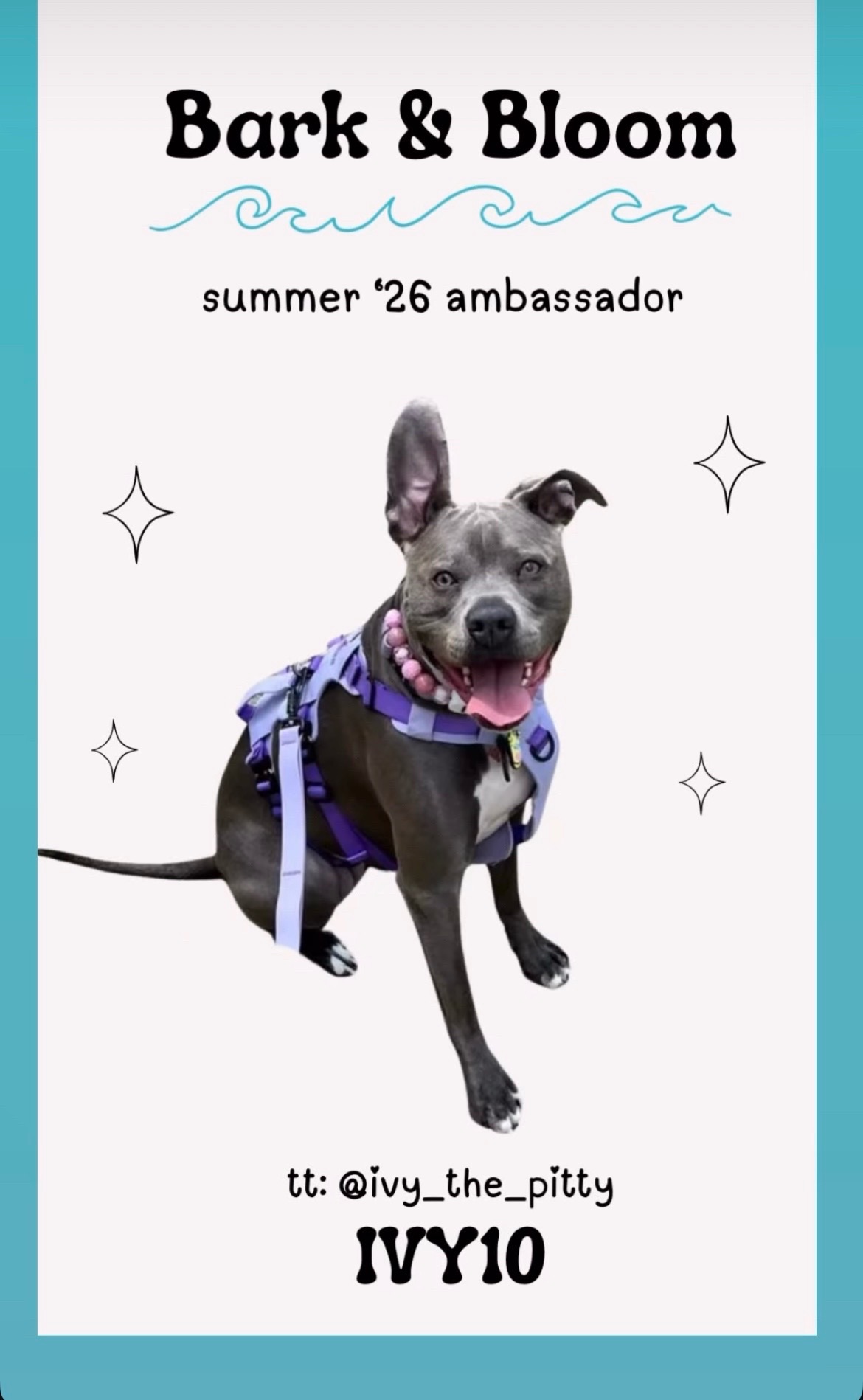@Ivy the pitty