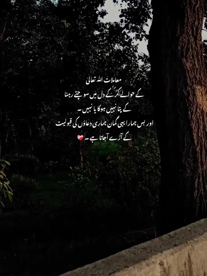 @𝑯𝒂ل𝒂𝒍_𝑫𝒖ڈ𝒆🕋🫠🌸
