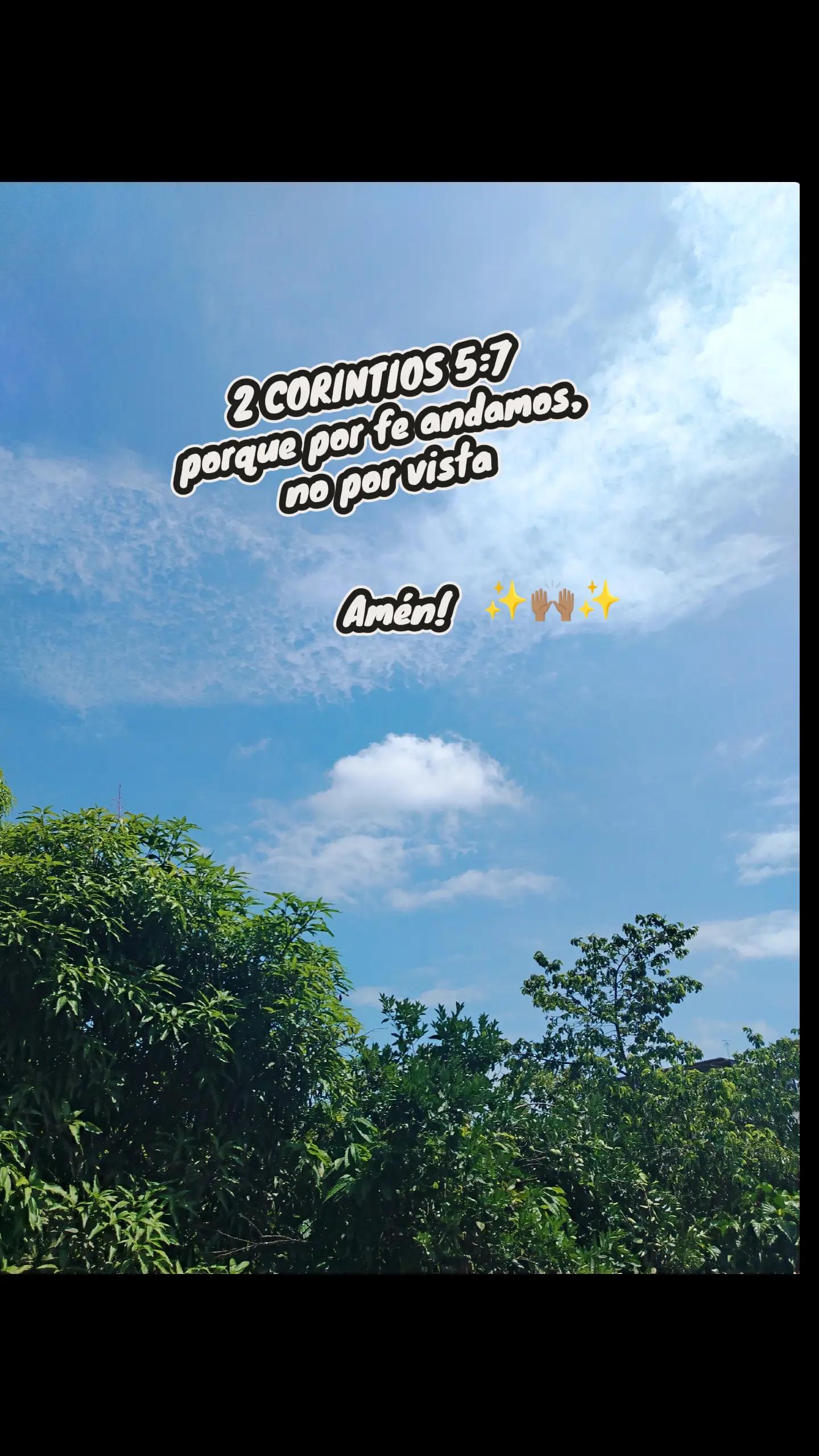 @Denise Carolina👑🥑