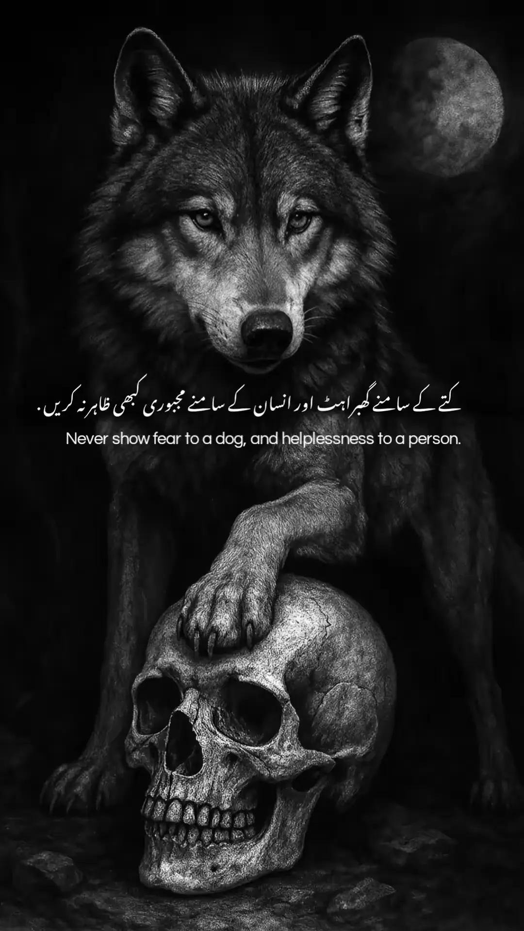 @Waleed Arshad