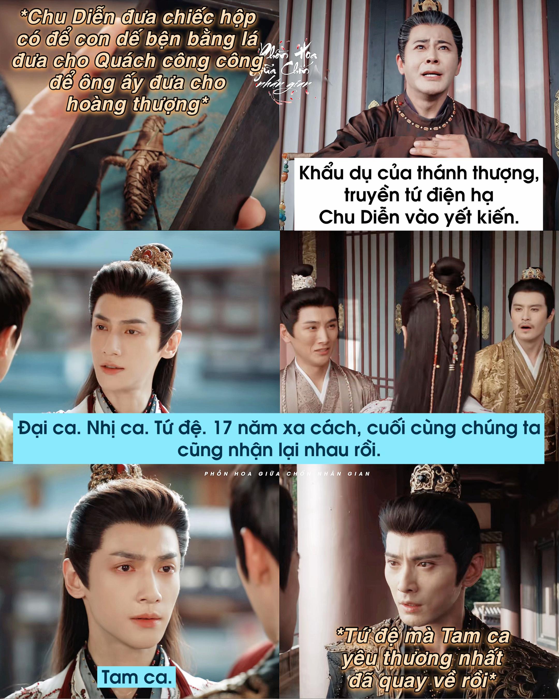 @Phồn Hoa Giữa Chốn Nhân Gian🌸
