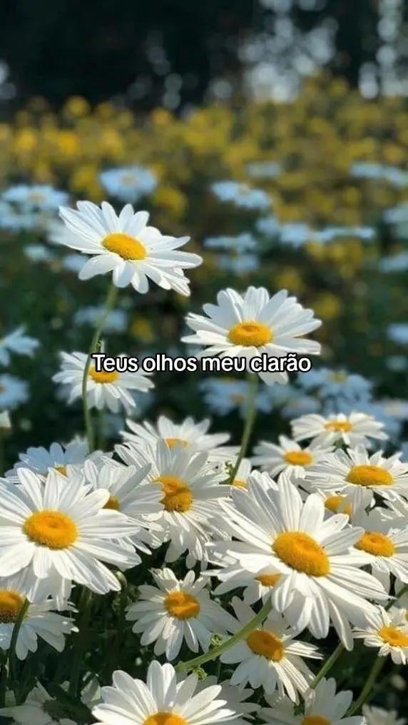 @_Catolicos.✨