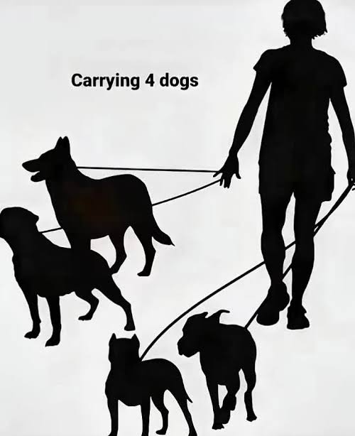 @𝙺𝚊𝚖𝚒