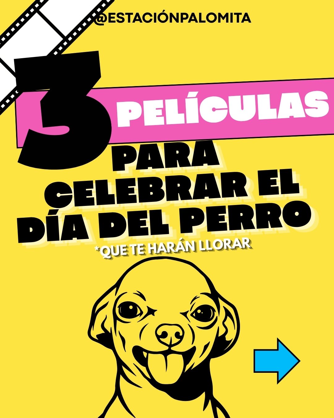 @Estación Palomita
