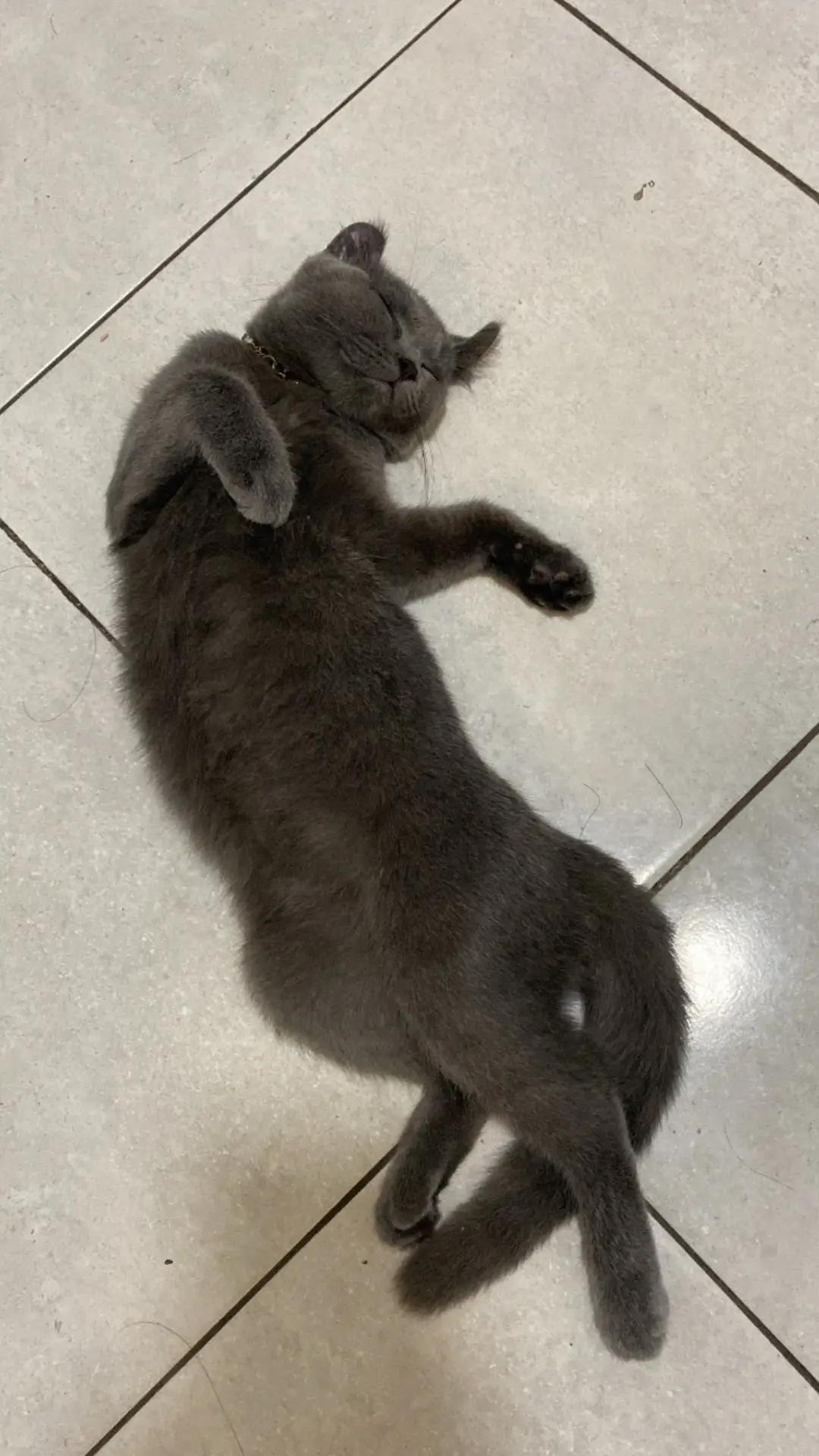 @𝐶ᥫ᭡.
