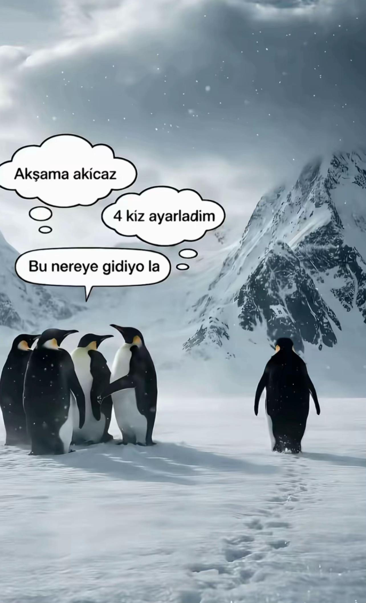 @yusuf...