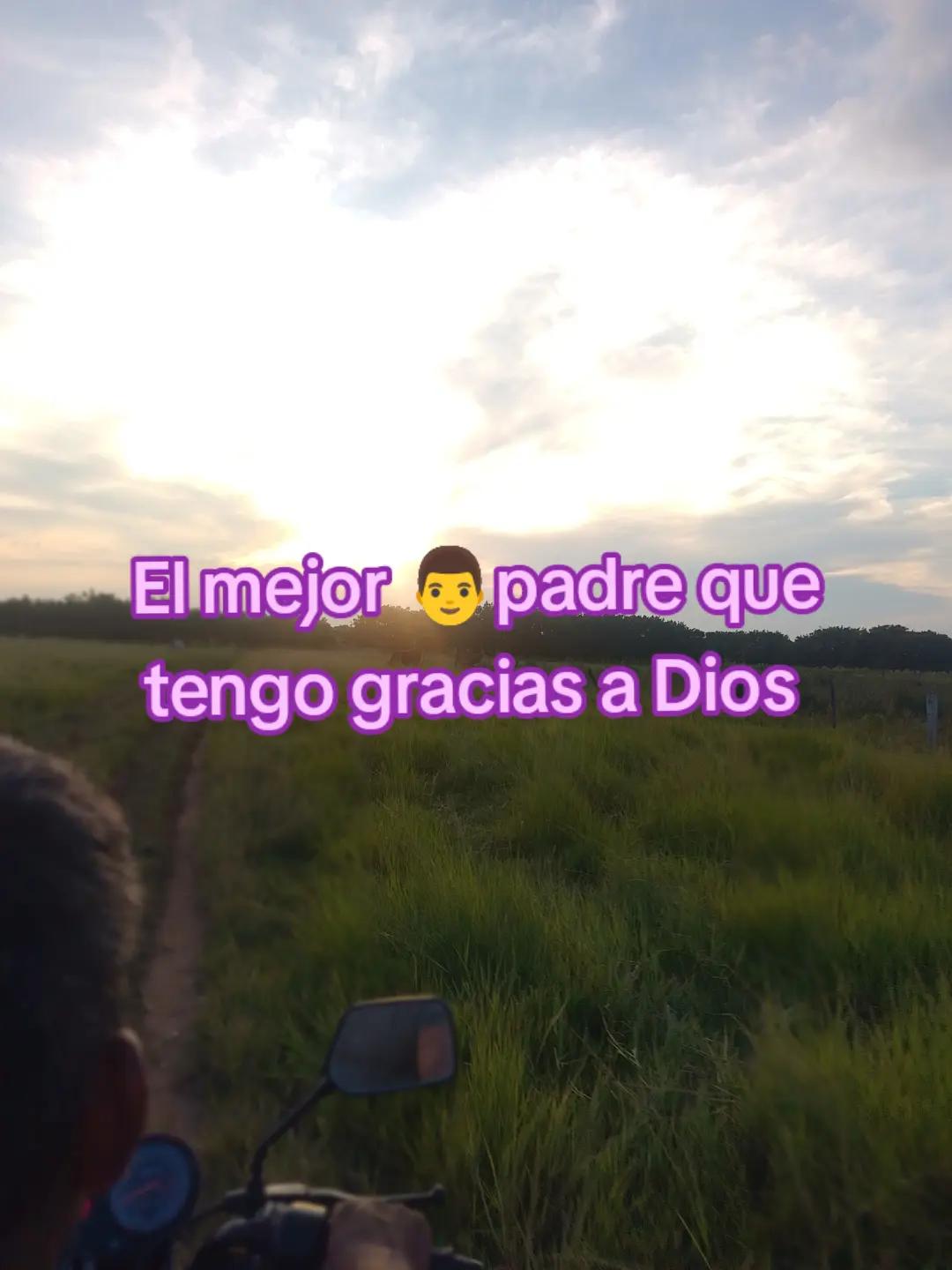 @Violetta 🕷