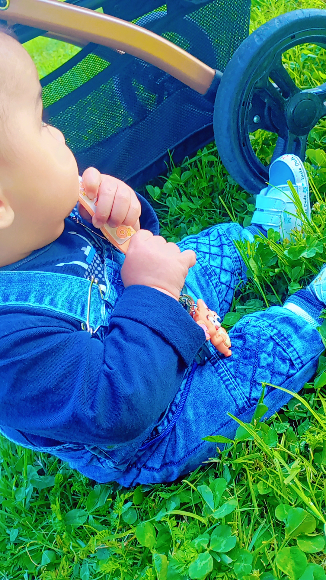 @𝐴𝐿𝐵𝐴𝑅𝐴𝐴.🐆💙