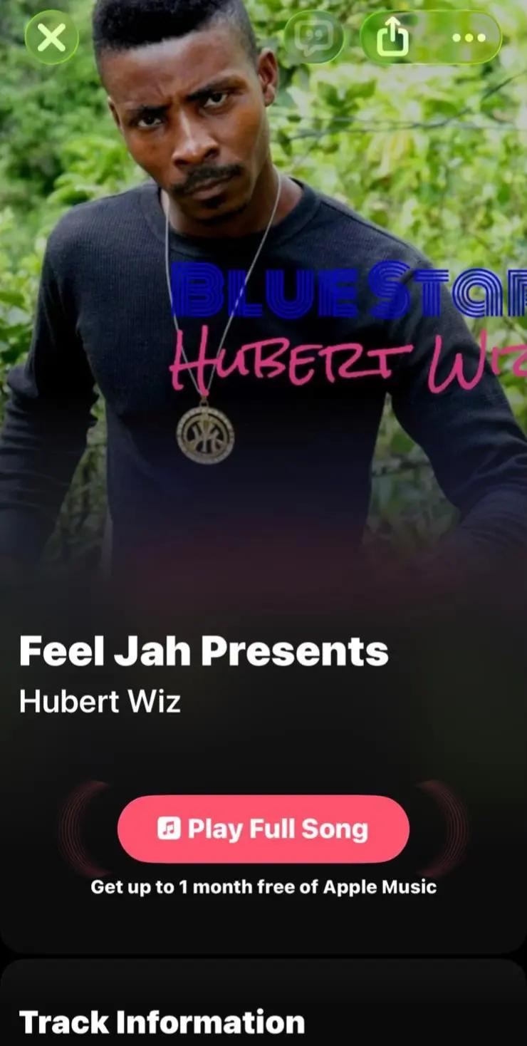 @Hubert wiz