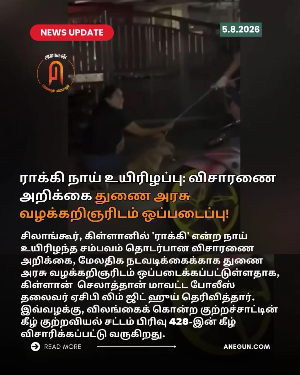 @AnegunNews