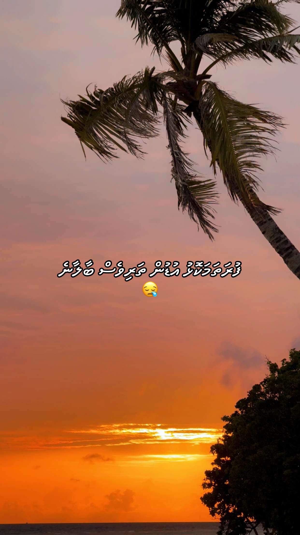 @Six_+1