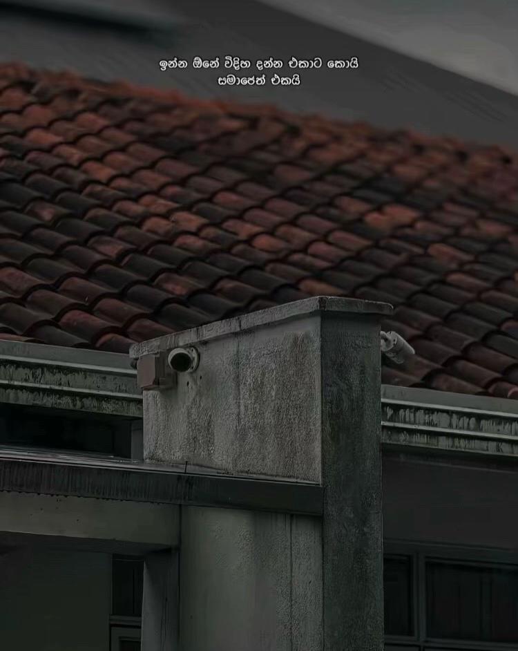 @Chamiya🇰🇷🇱🇰