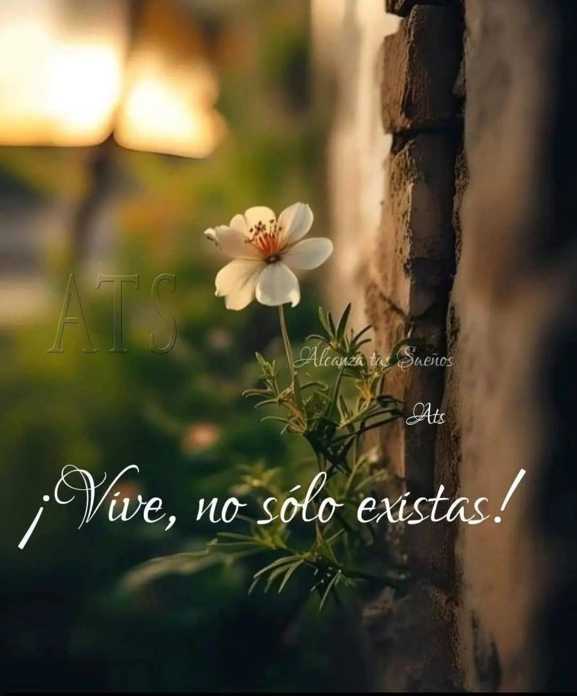 @Ingrid Moreno