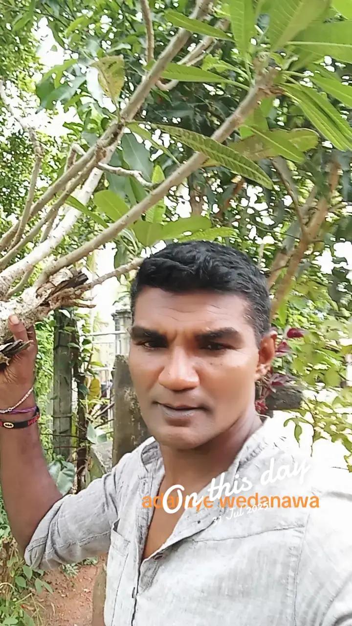 @Ramanayaka Ramanayaka