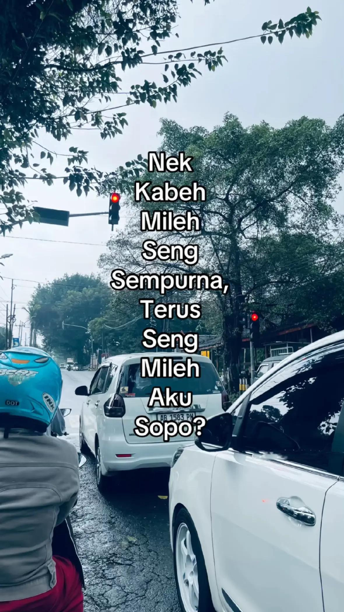 @windyyyy
