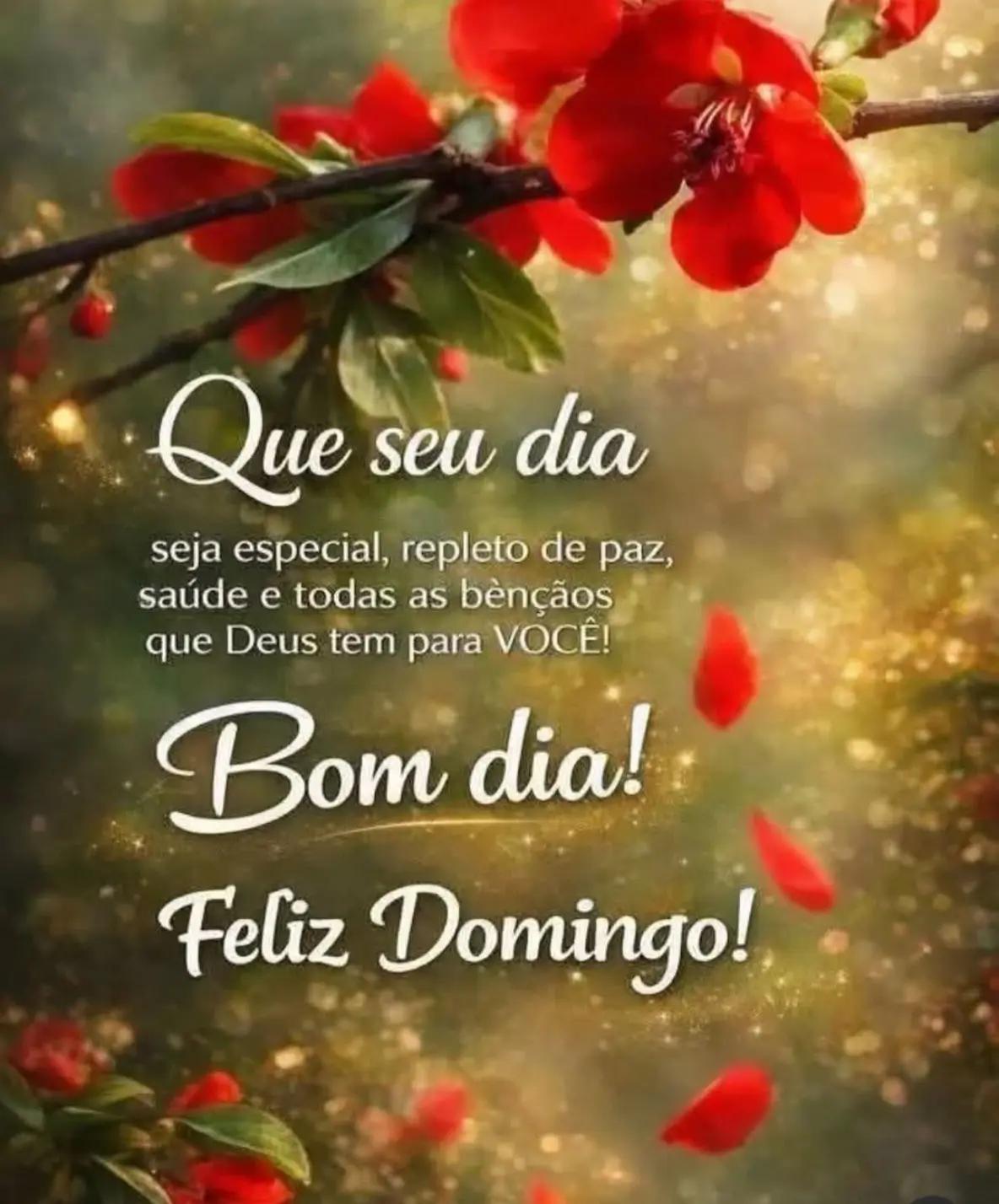 @Ines Ferreira