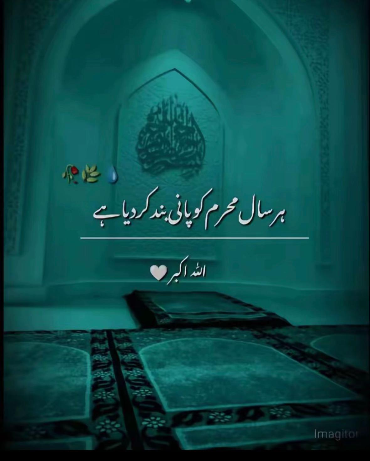 @زین راجا🥷