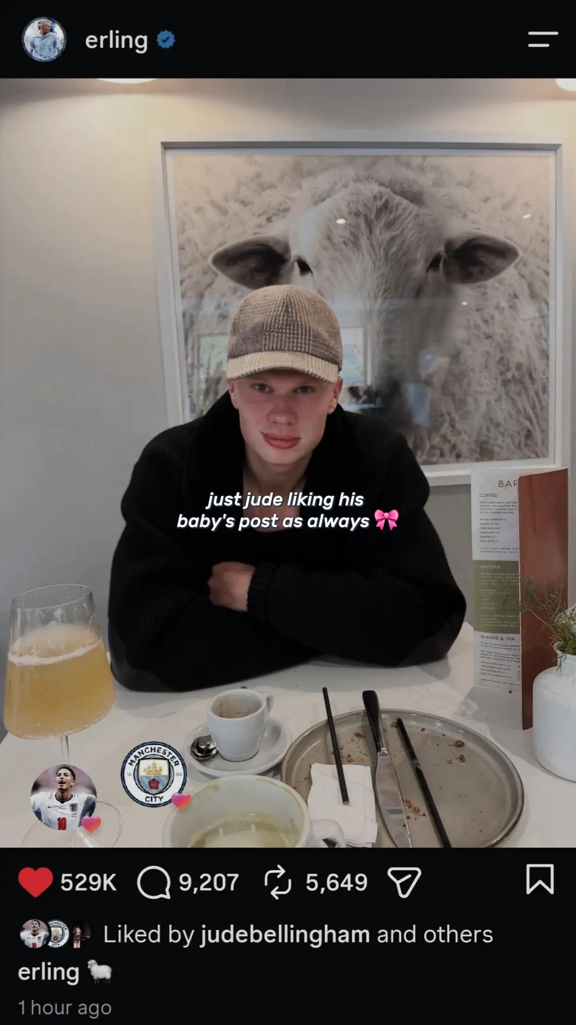 @。 𝒜𝓁 。
