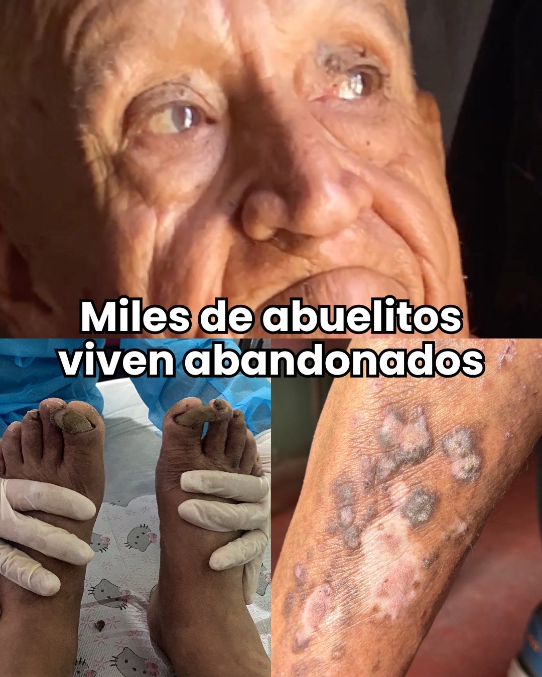 @AdoptaUnAbuelito