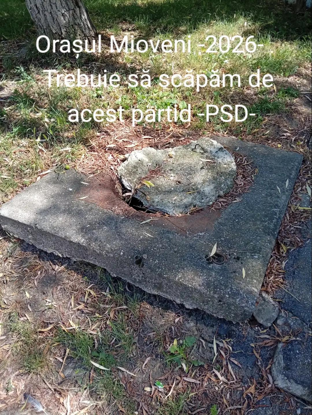 @Alpha