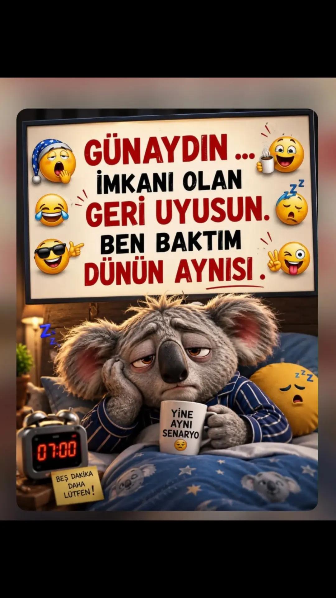 @Mehmet tc