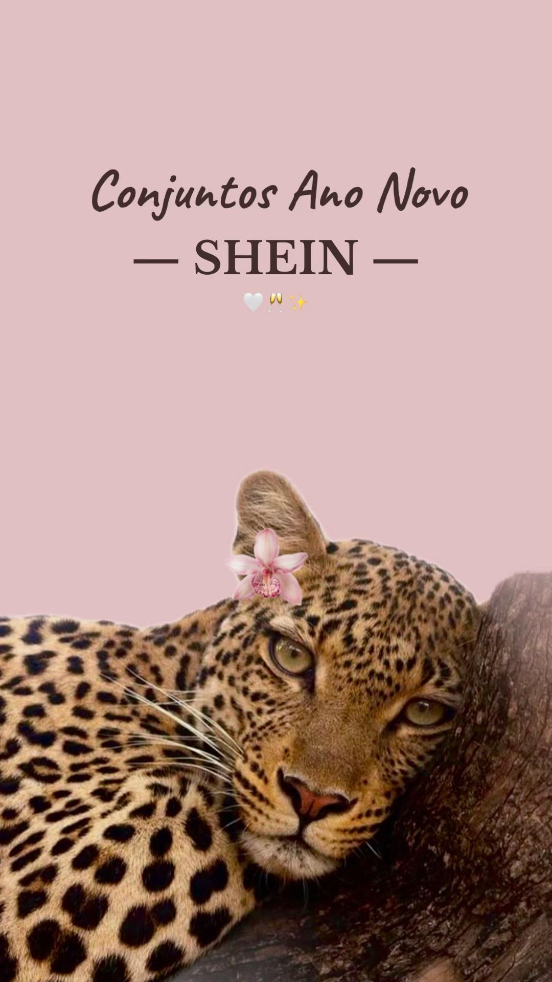 @Looks Girls ✨