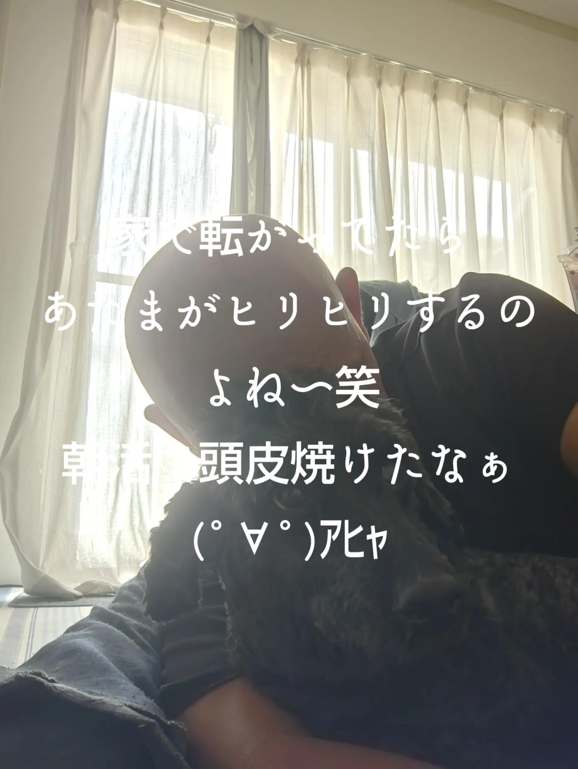 @マジカルな🙄ずんだひろし？？