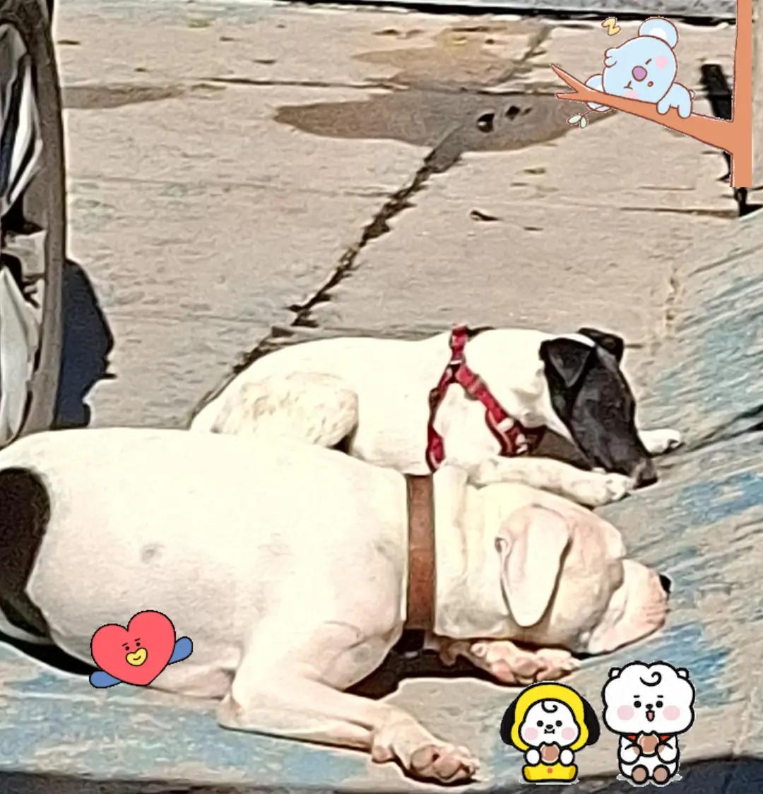 @❤️Ana Mireya Millán