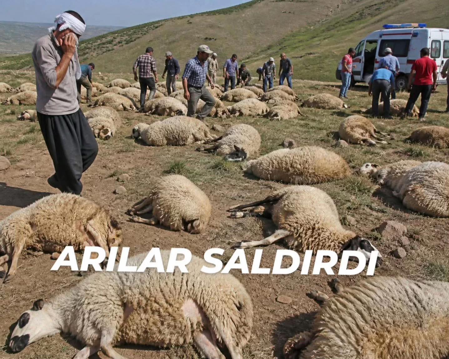 @Avusturya  medya magazin