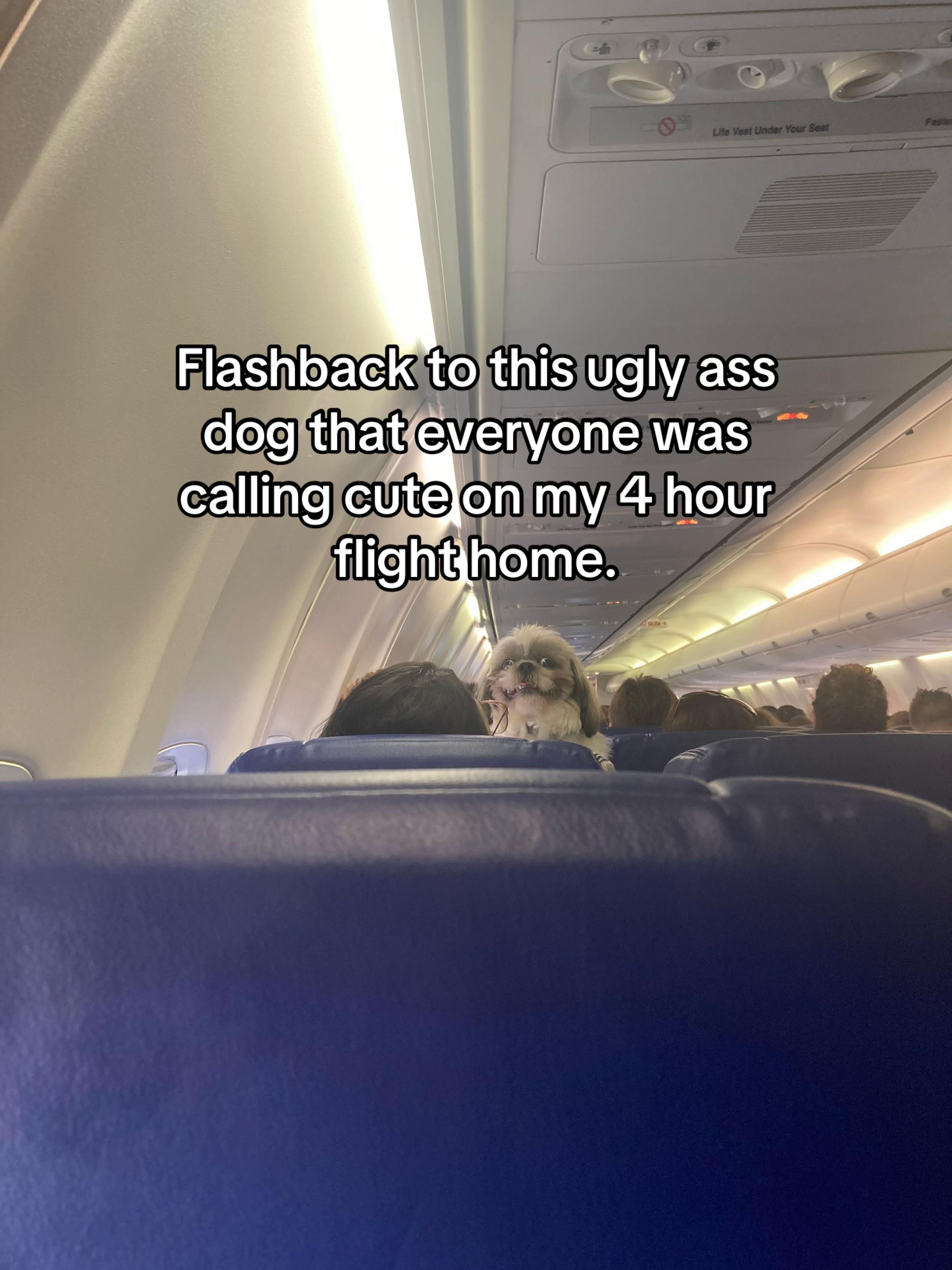 @fartexplosion
