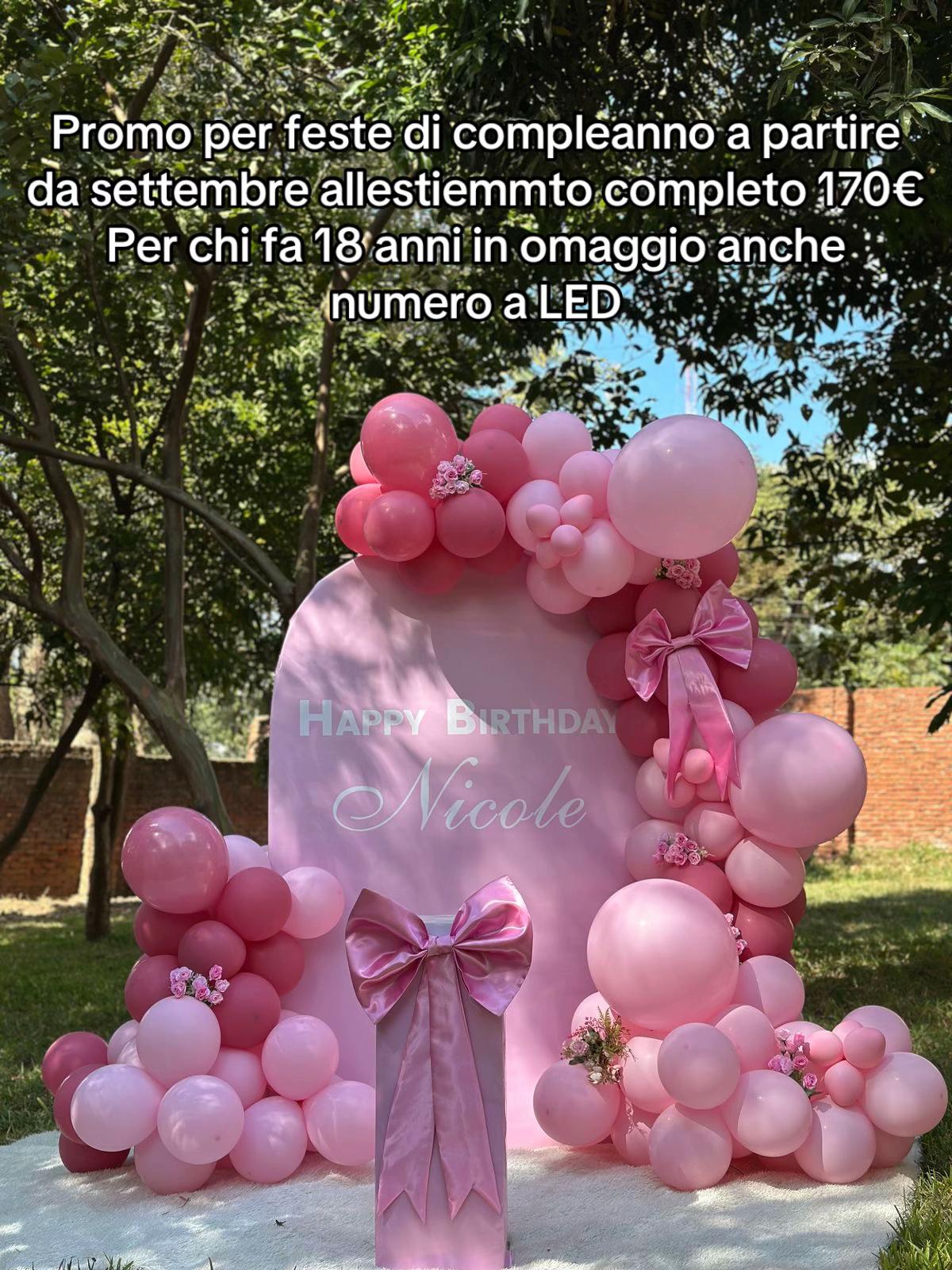 @Balloonart_creativity__🪄🧸