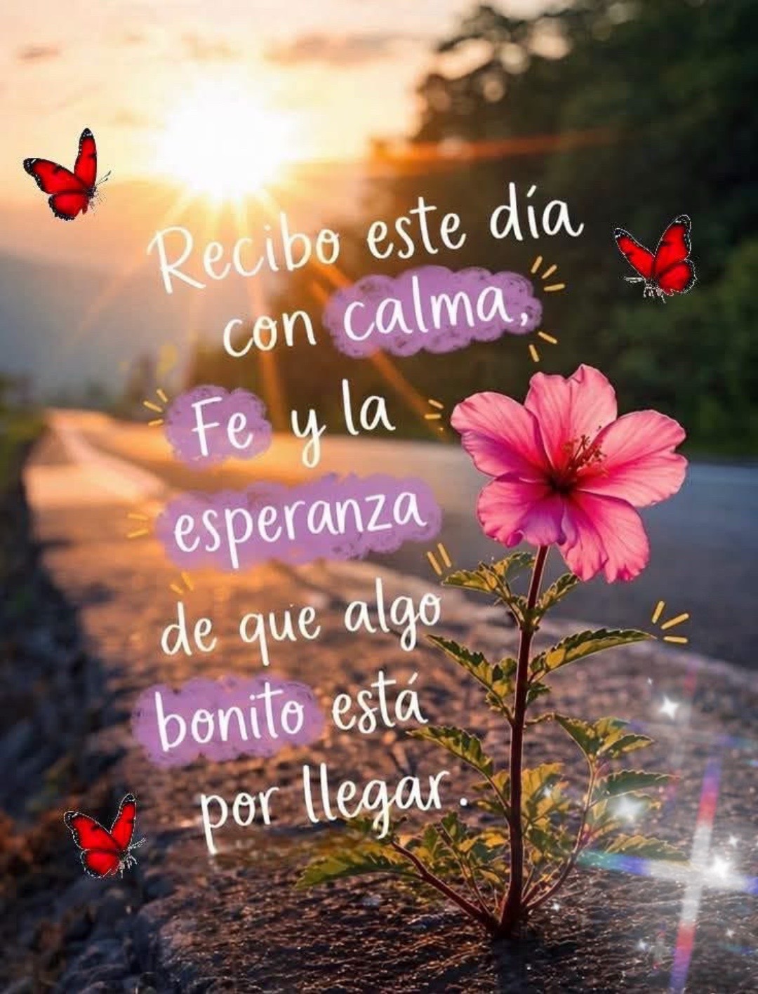 @✨🌙❤️La mera mera BARBIE ❤️🌙✨