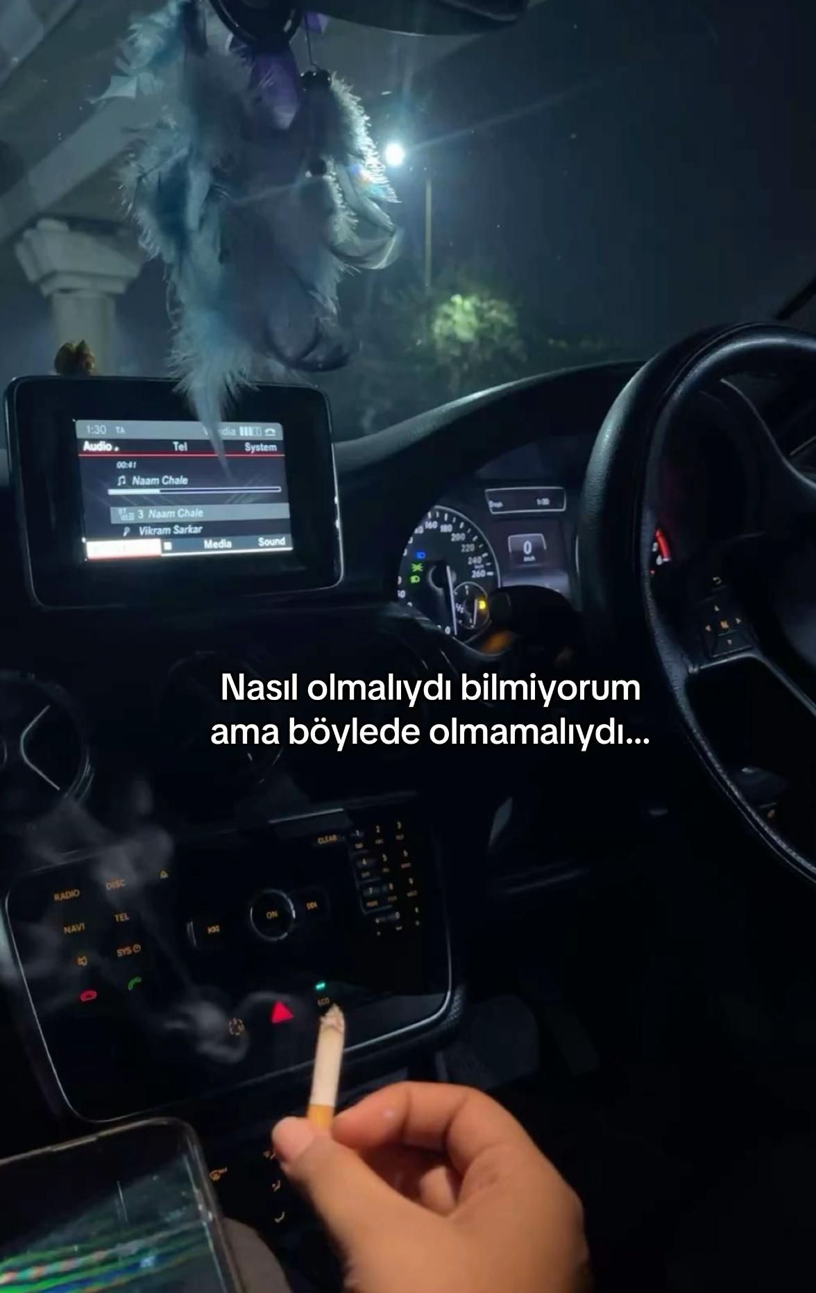 @seviyorgibiydin24