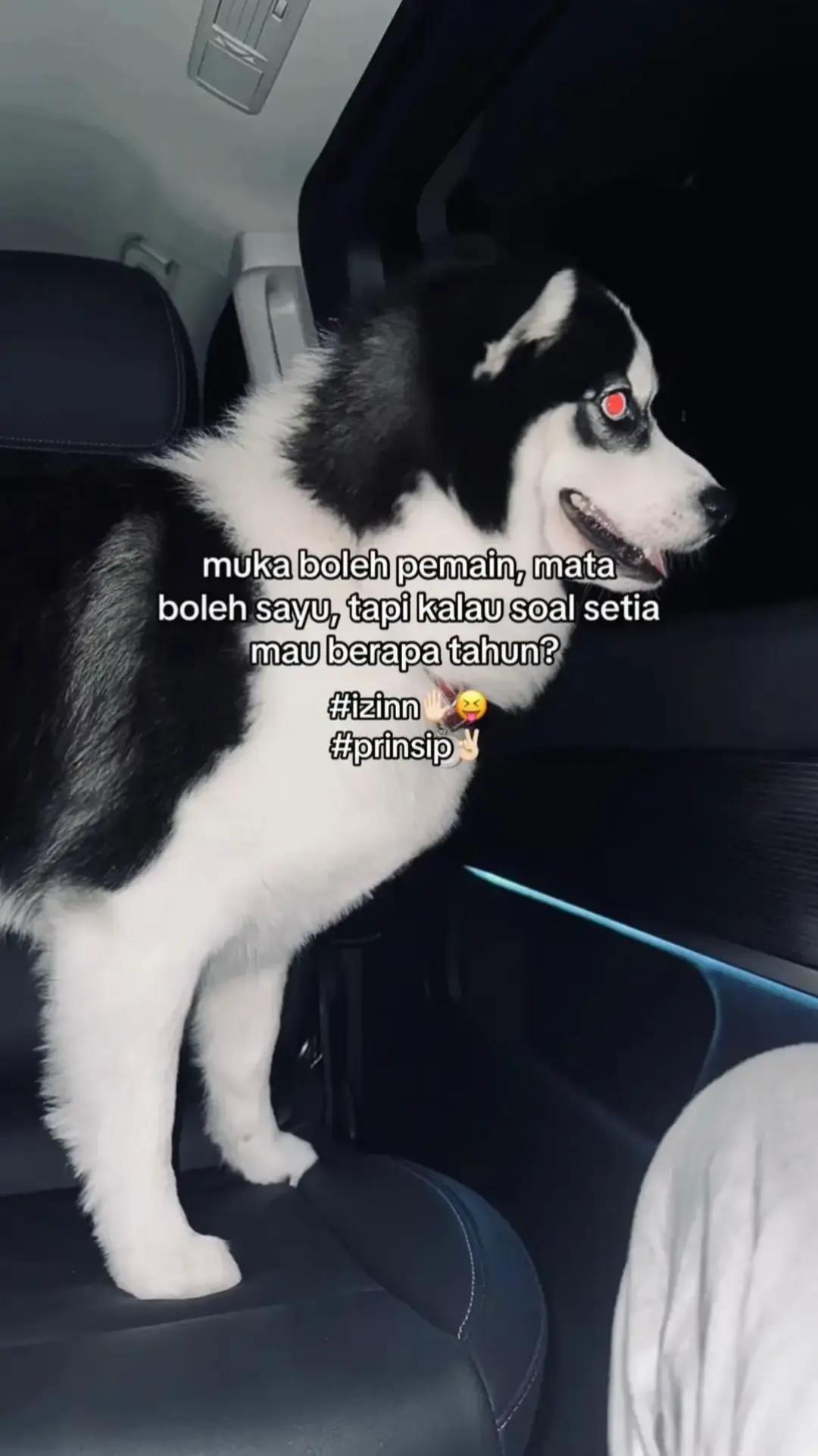 @TOLONGGG_DONG🫧