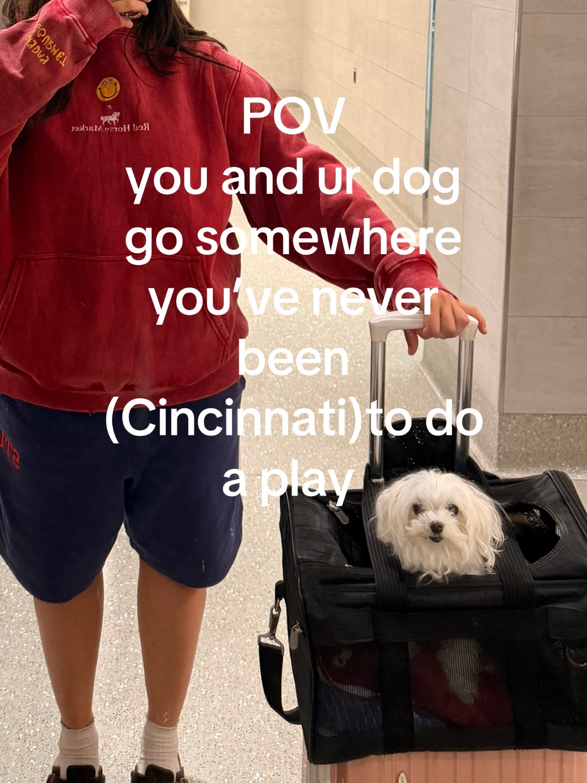 @vivi