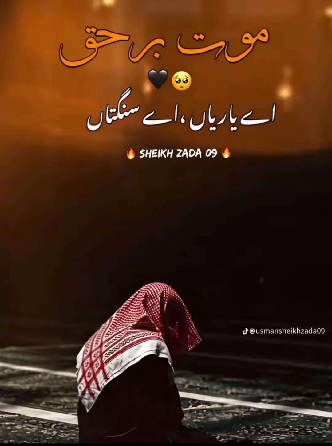 @🖤 Hassan Shah ツ