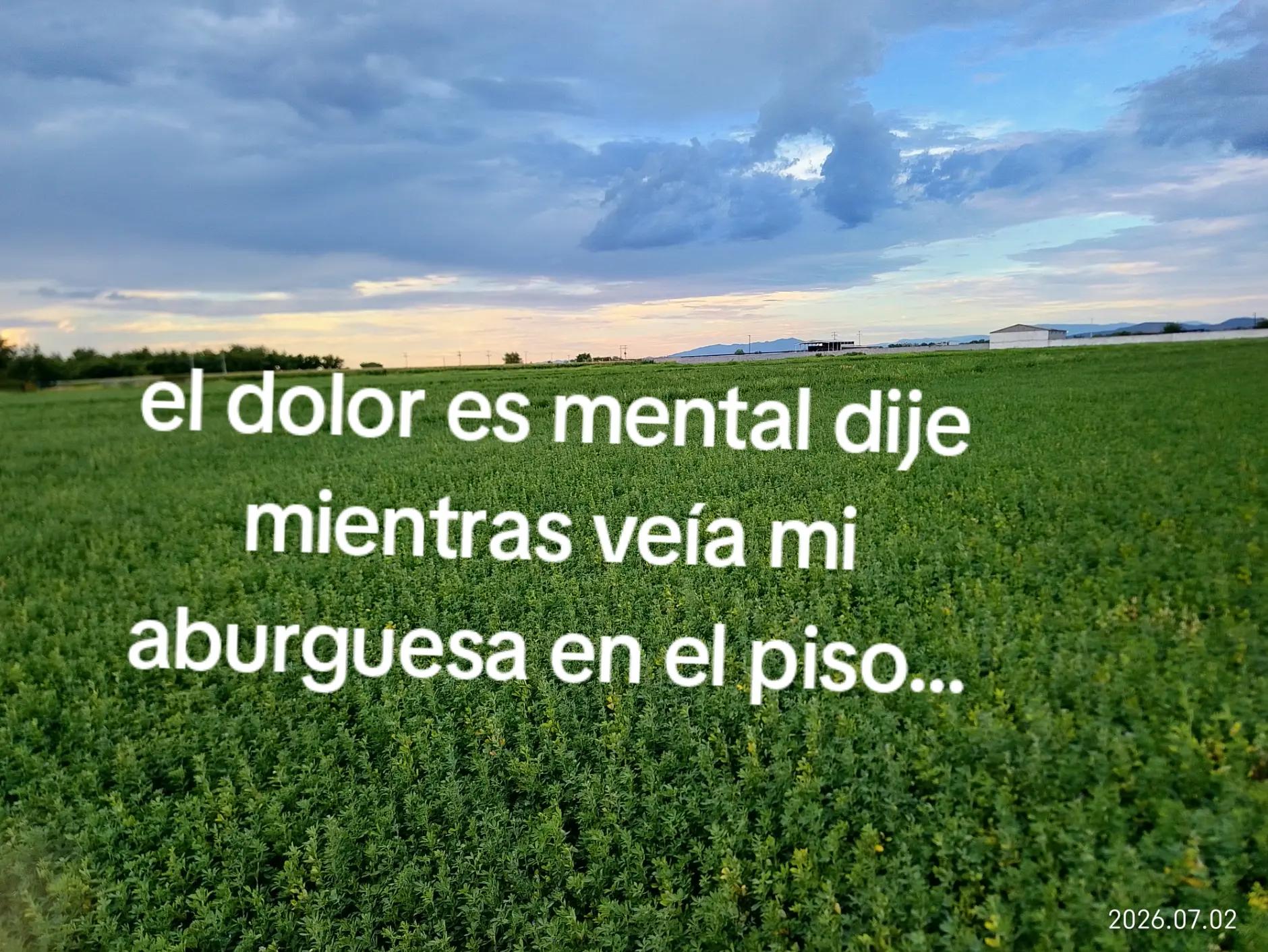@Jesús