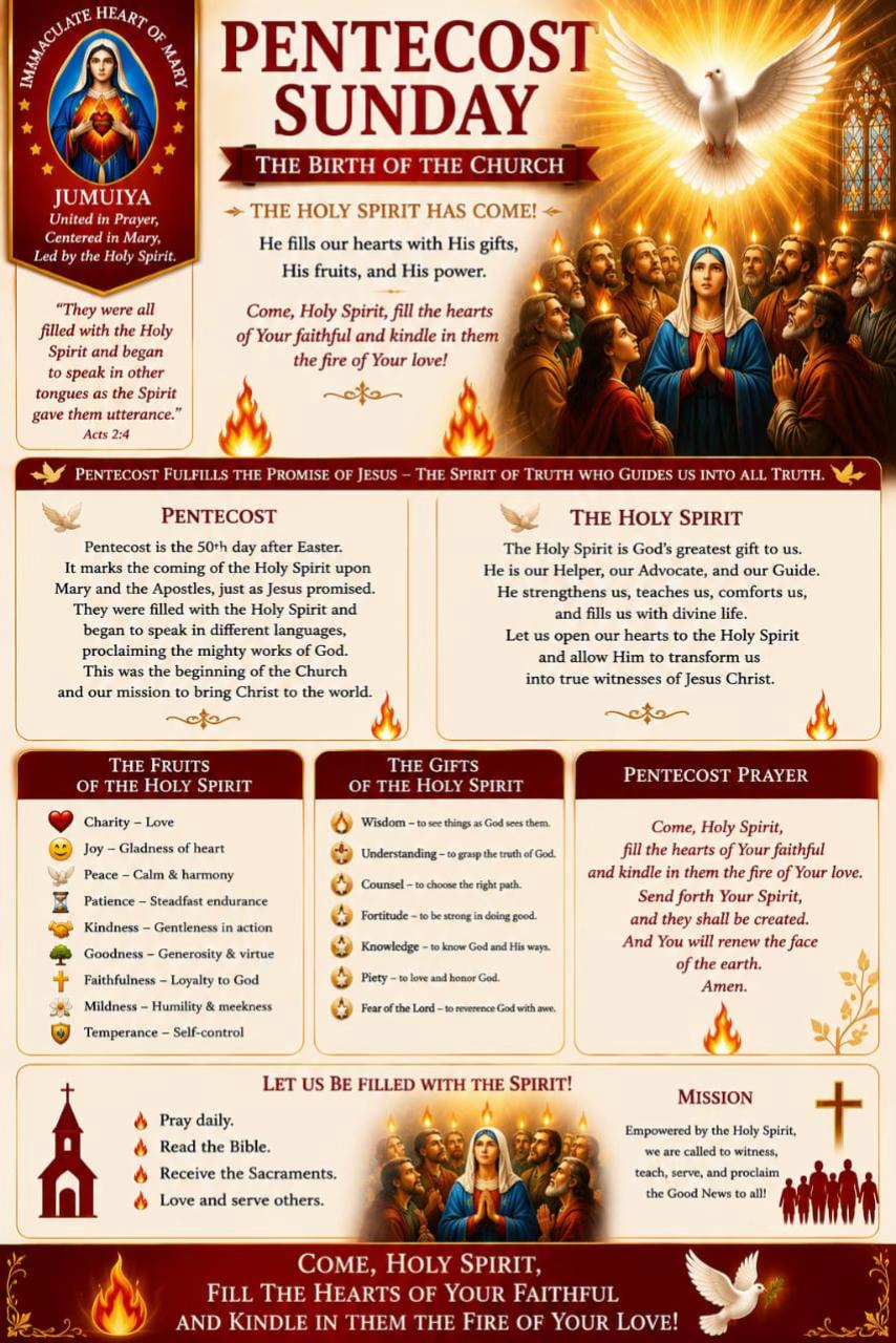 @IMMACULATE HEART OF MARY❤️