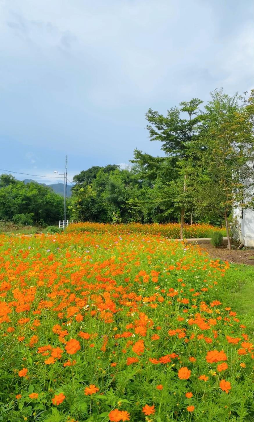 @Dream Farmhouse Mộc Châu