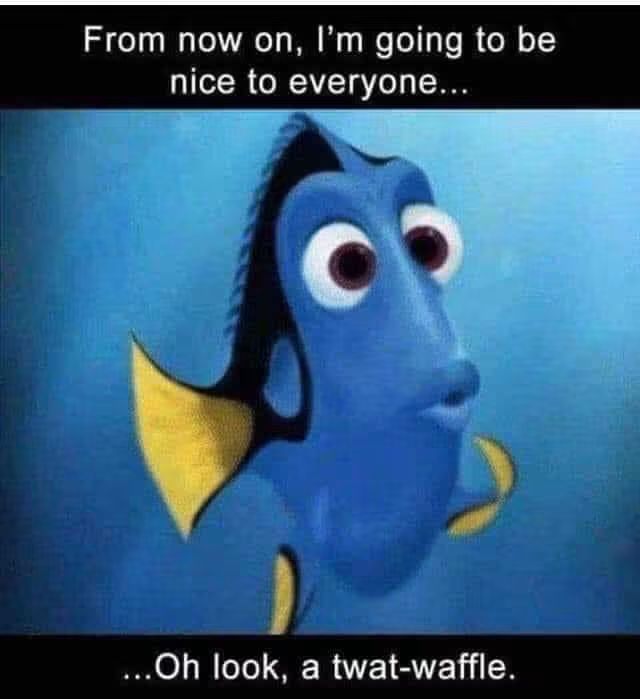 @mr and Mrs t