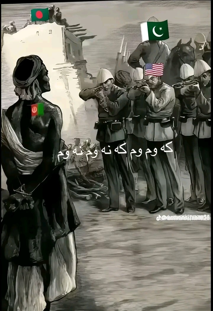 @Wajidalishah_33