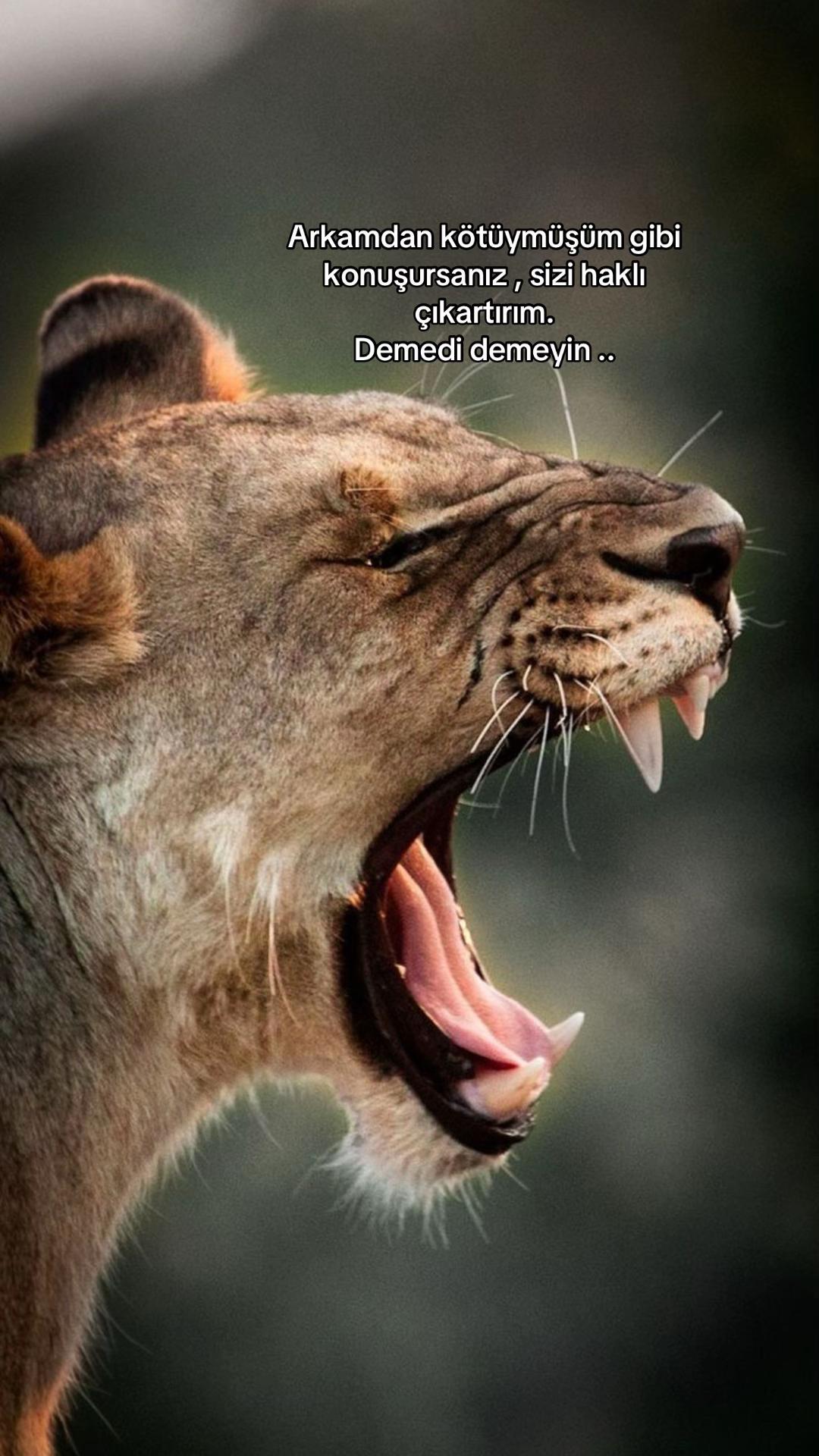 @Atarlı Kadın