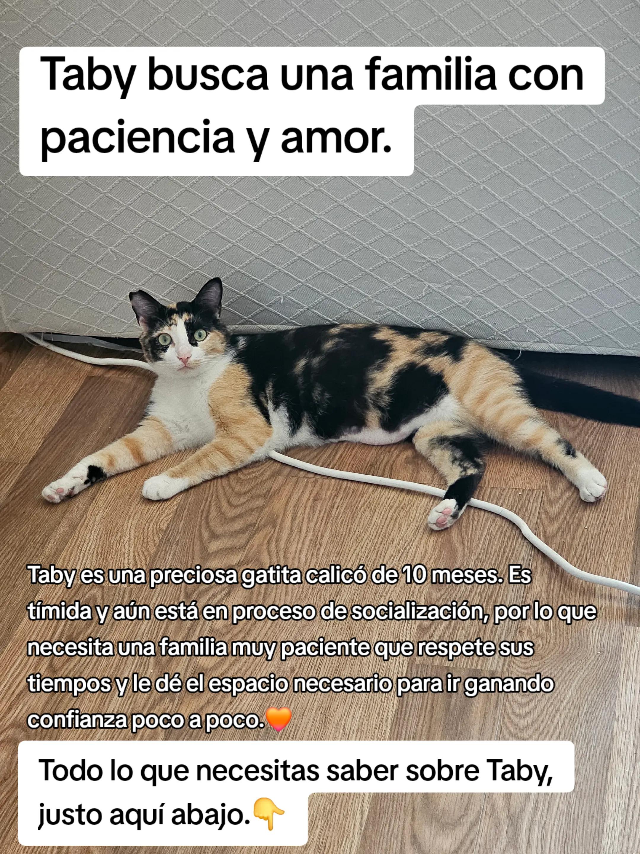 @garritasespaciales