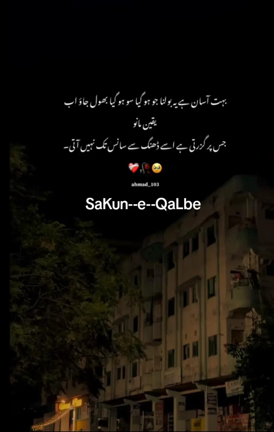 @👑🌎❤️SaKun--e--QaLbe❤️💍🫂