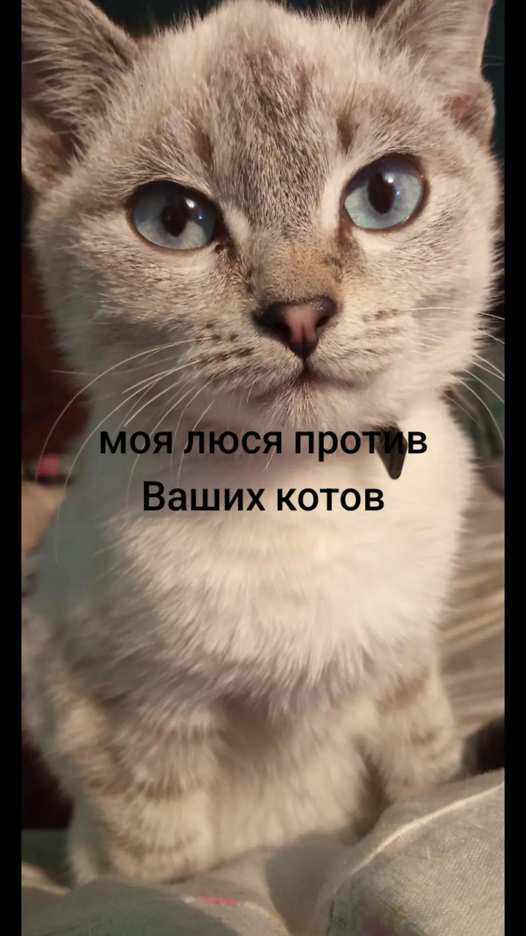 @Анастасия