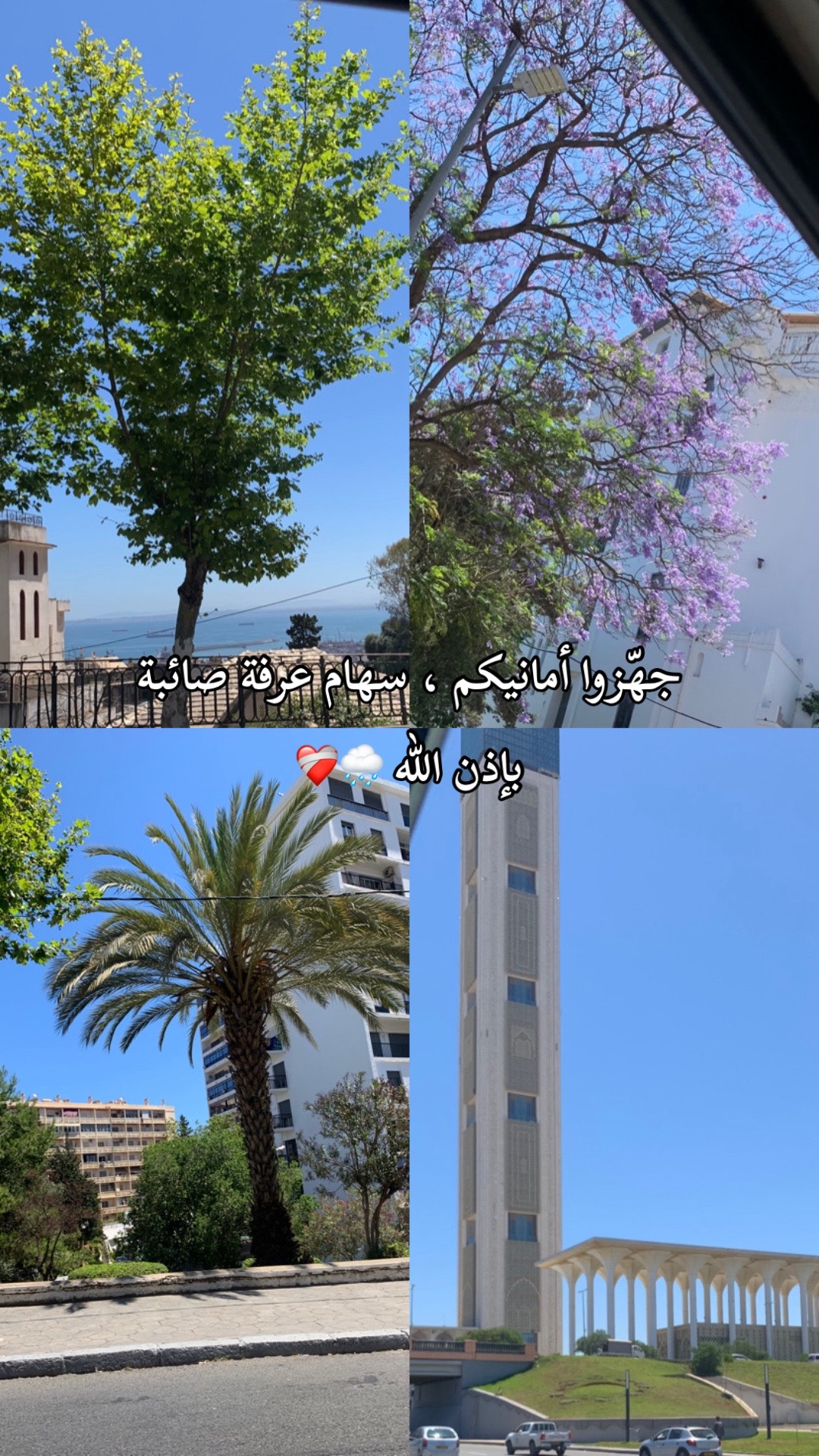 @أمنية ✨