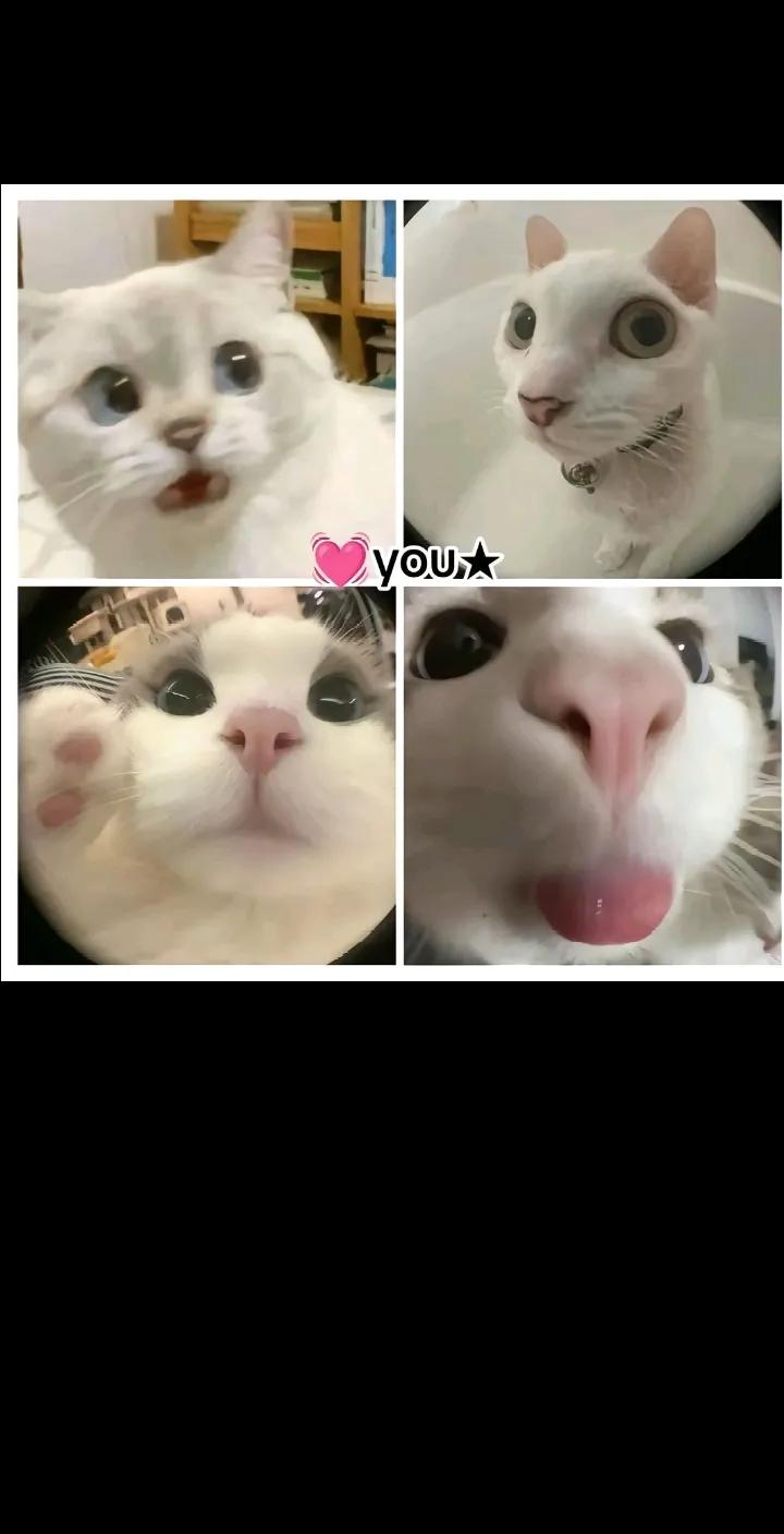 @B