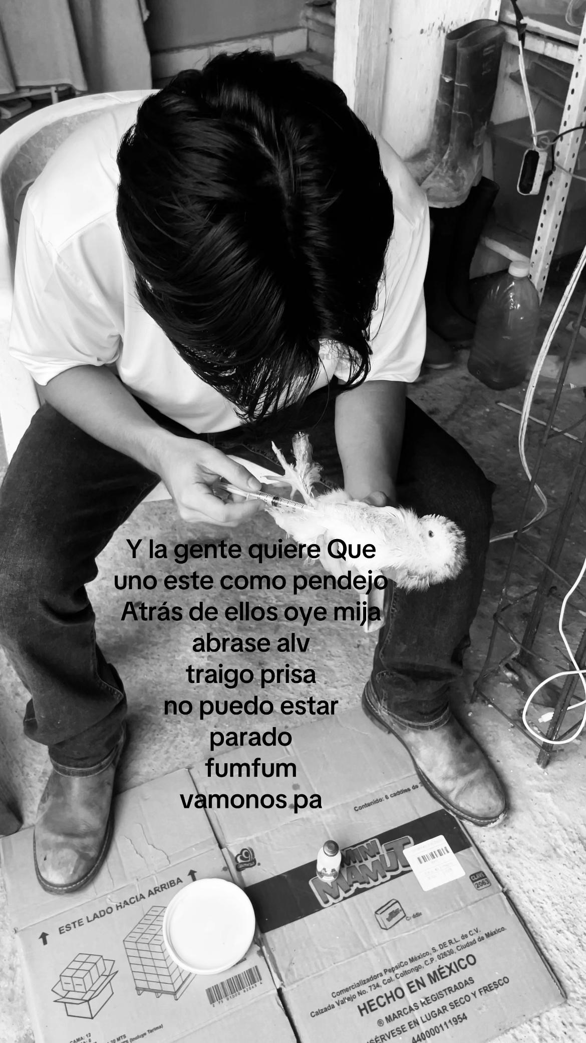 @Adrián__v_v